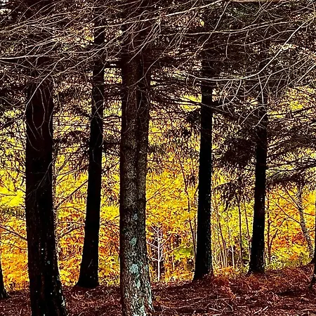 לינה וארוחת בוקר Casa Obras