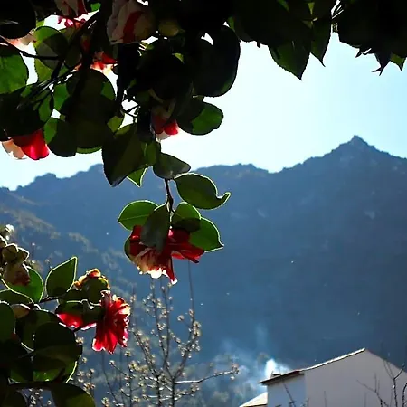 Casa Obras Bed & Breakfast Manteigas