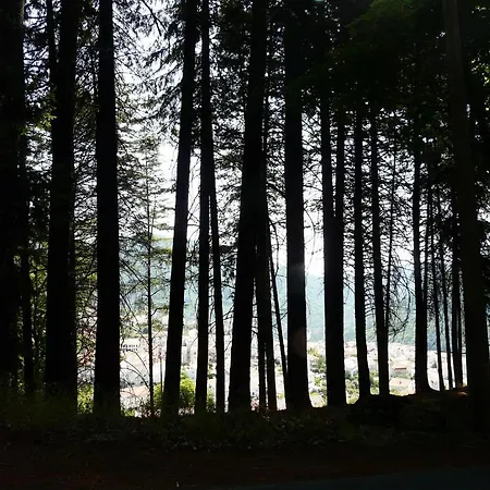 Casa Obras Oda ve Kahvaltı Manteigas