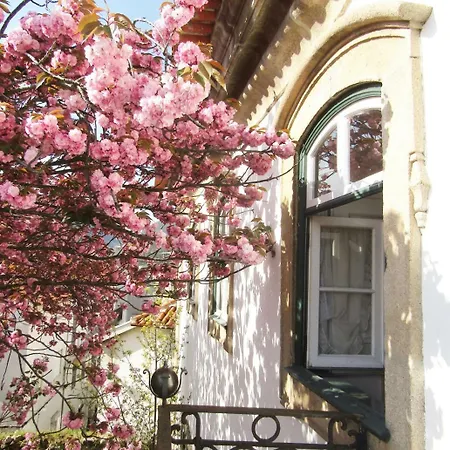 Casa Das Obras 4* Мантейгас