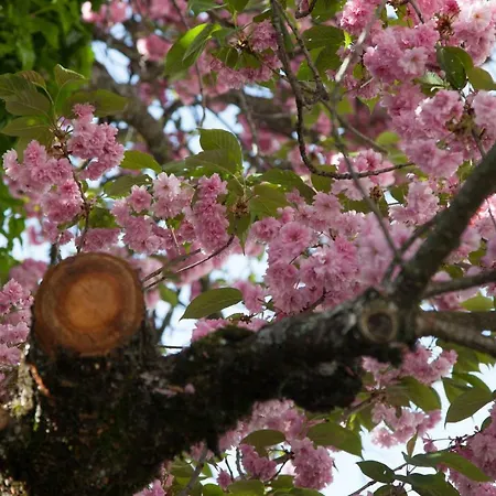 Casa Obras 4* Manteigas