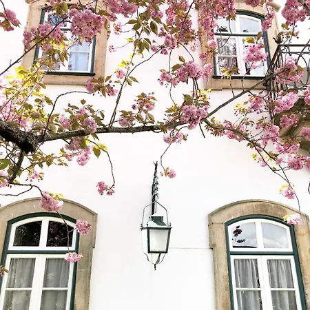 Casa Obras Manteigas