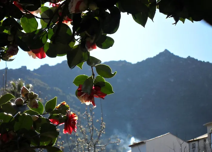 לינה וארוחת בוקר Casa Obras מנטגאס