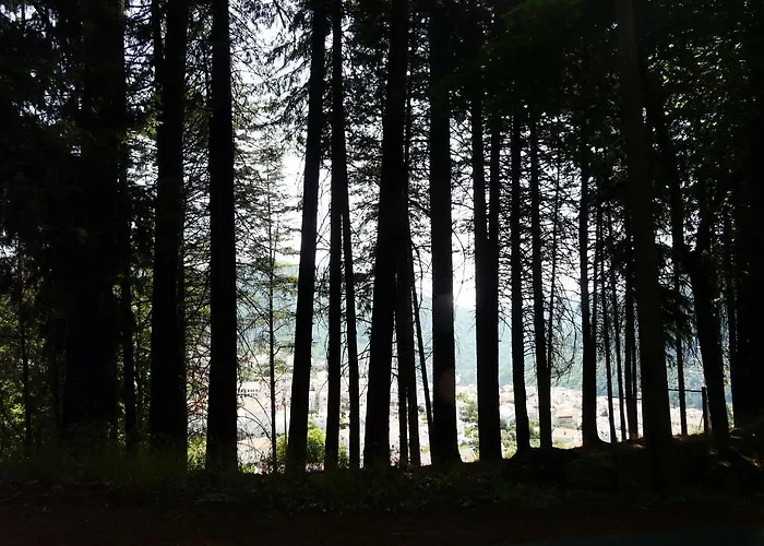 Casa Obras לינה וארוחת בוקר מנטגאס