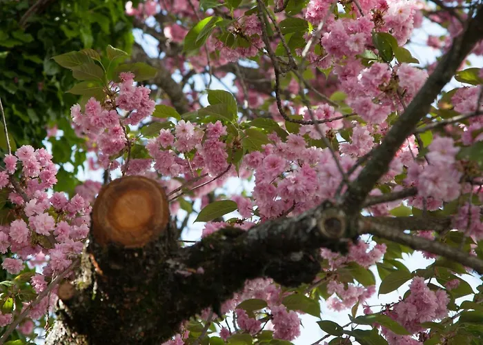 Casa Obras 4* מנטגאס